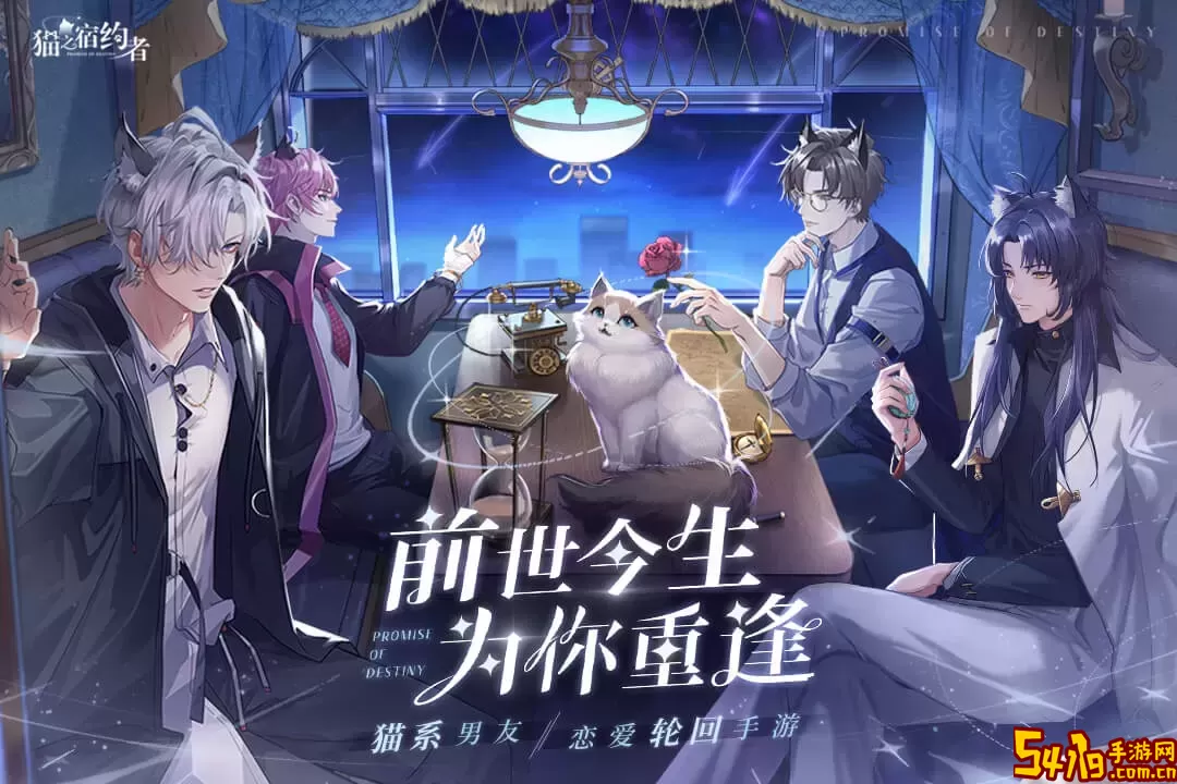 猫之宿约者下载免费版