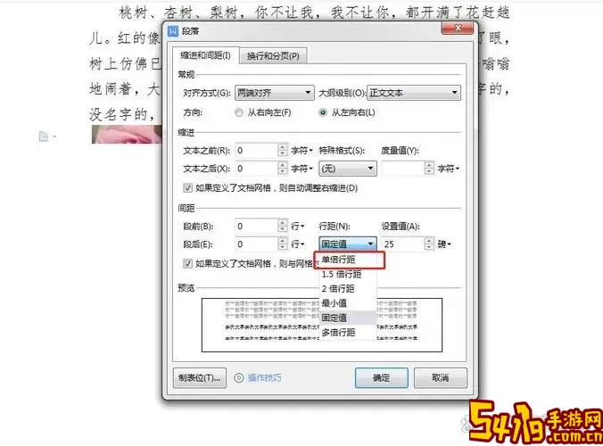 如何解决Word无法同时显示多个窗口的问题？图2