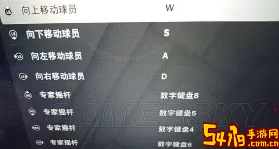 NBA2K Online秒板技巧解析及按键设置推荐图1