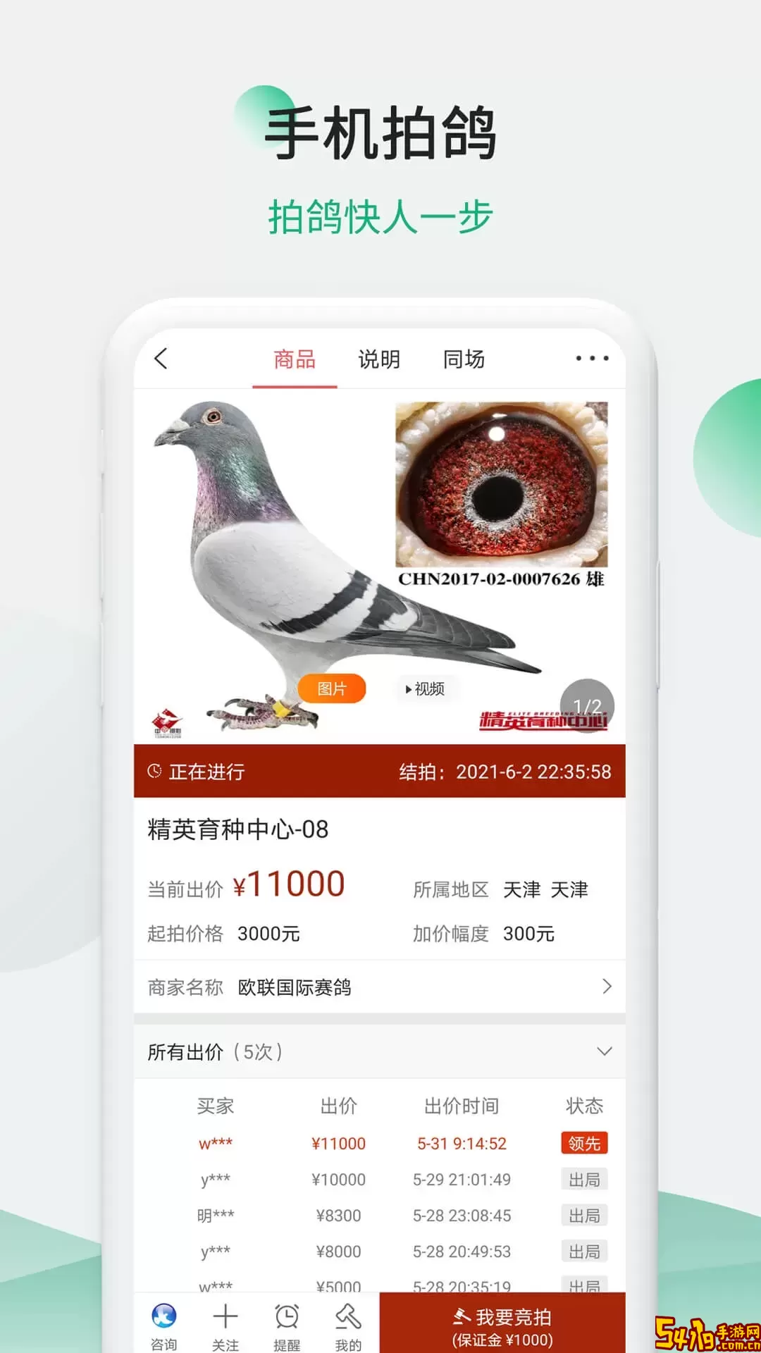 中国信鸽信息网最新版