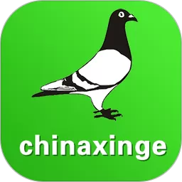 中国信鸽信息网最新版