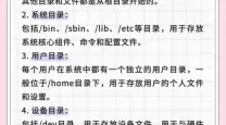 WPS二次开发文档API全解：Linux环境下的应用指南与技巧