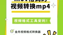 mov是视频格式还是音频格式