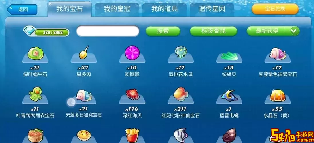 开心水族箱新手需要什么宝石图3