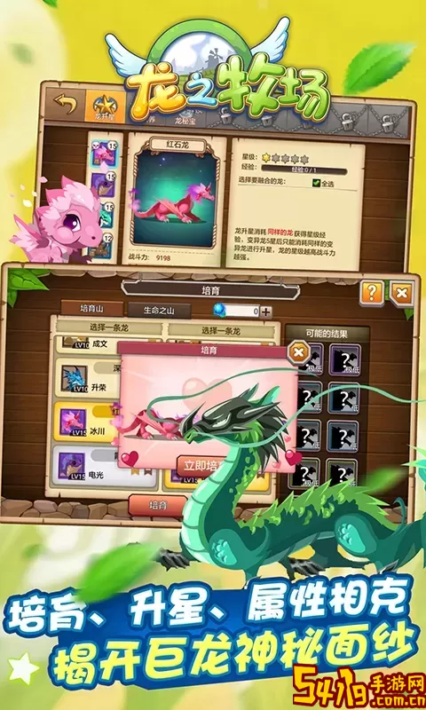 育龙高手免费版下载