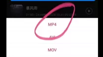 如何在手机上将WMV格式转换为MP4格式的详细步骤与技巧