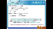 pdh在医学上是什么意思