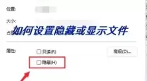 如何在Windows 11中显示文件后缀名的详细步骤与方法指南