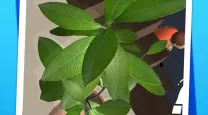 dell底部任务栏无响应是不是被锁定了