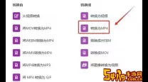 如何选择支持WMV格式视频播放的软件推荐