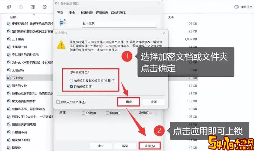 详解Word 2010文档加密方法，保护你的重要文件安全图2