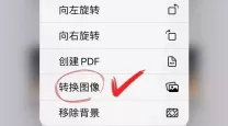 pdf格式可以转换成jpg格式吗