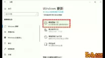 如何在Windows 11家庭版中关闭自动更新功能？详解步骤与方法
