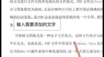 pdf格式是什么样子