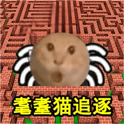 Gmod躲猫猫追逐官服版下载