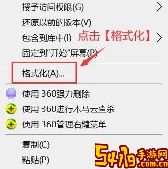 内存卡怎么格式化在电脑上_内存卡怎么格式化在电脑上操作图1
