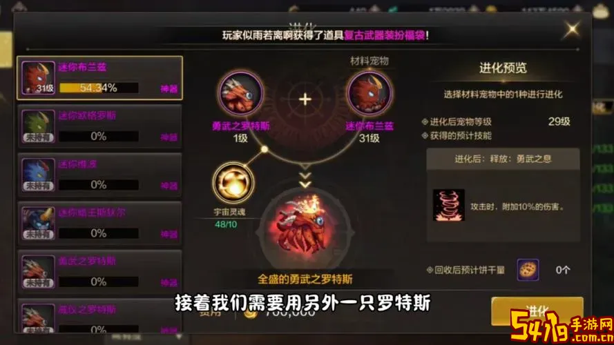 DNF100版本宠物装备获取攻略及详细方法解析图1