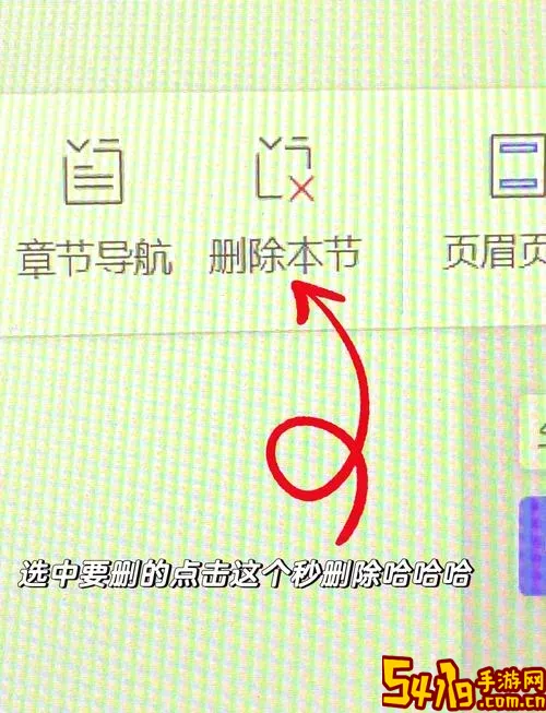 如何有效删除Word文档最后一页空白页的方法解析图3