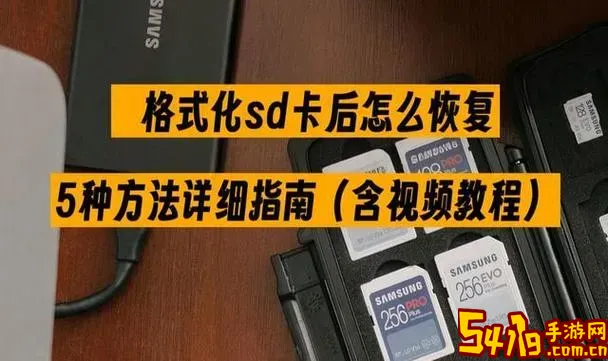 sd卡格式化选择什么格式_sd卡格式化怎么选择图1