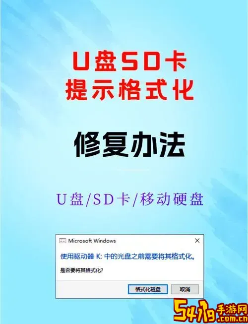 请运行chkdsk并重试_u盘请运行chkdsk并重试图1