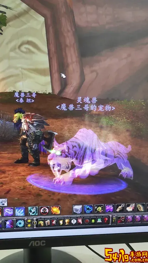 魔兽世界灵魂兽有什么技能图1