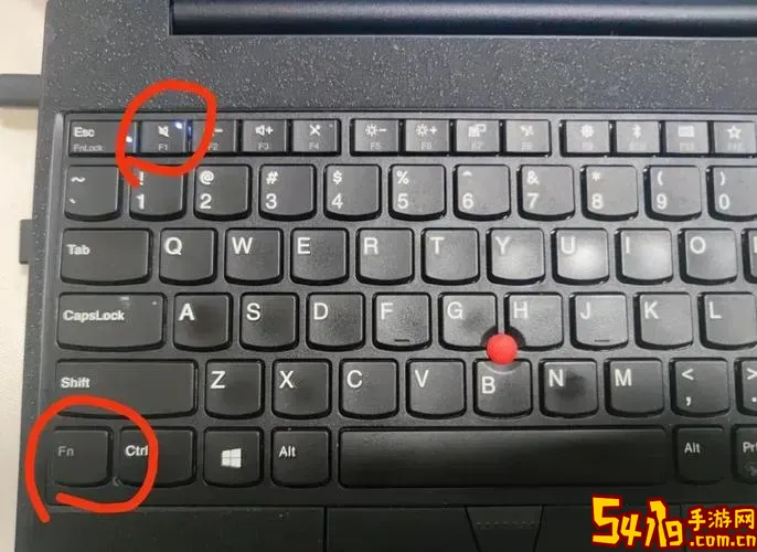 thinkpad静音键一直亮无法关图1
