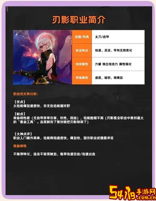 110版本刃影平民加点图1