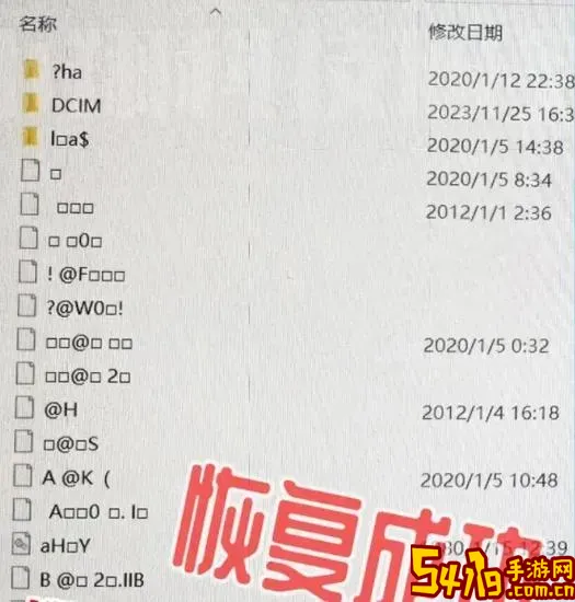 内存卡格式化了还能恢复吗_内存卡格式化后可以恢复吗图1