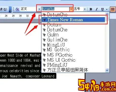word文档中新罗马字体在哪里找图2