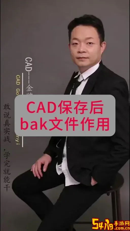 bak文件在手机用什么软件打开图2