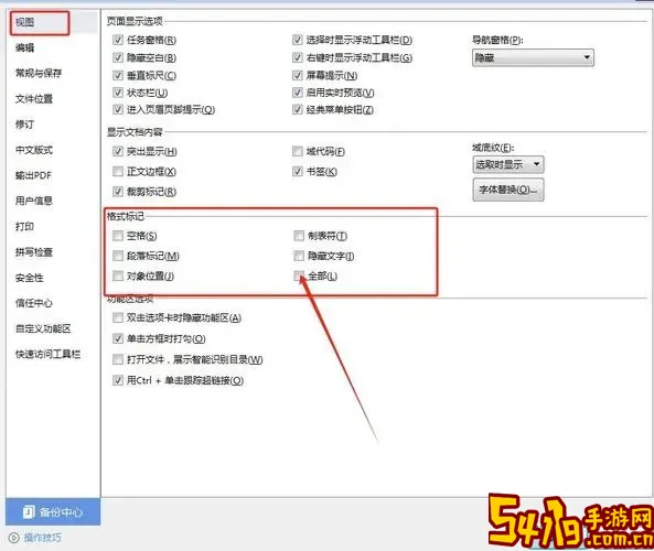 为什么word里的分数不显示出来图1
