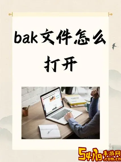 bak文件在手机用什么软件打开图1