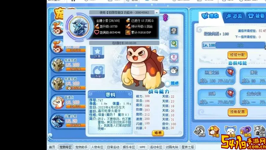 洛克王国刷机大队为什么我用不了图3