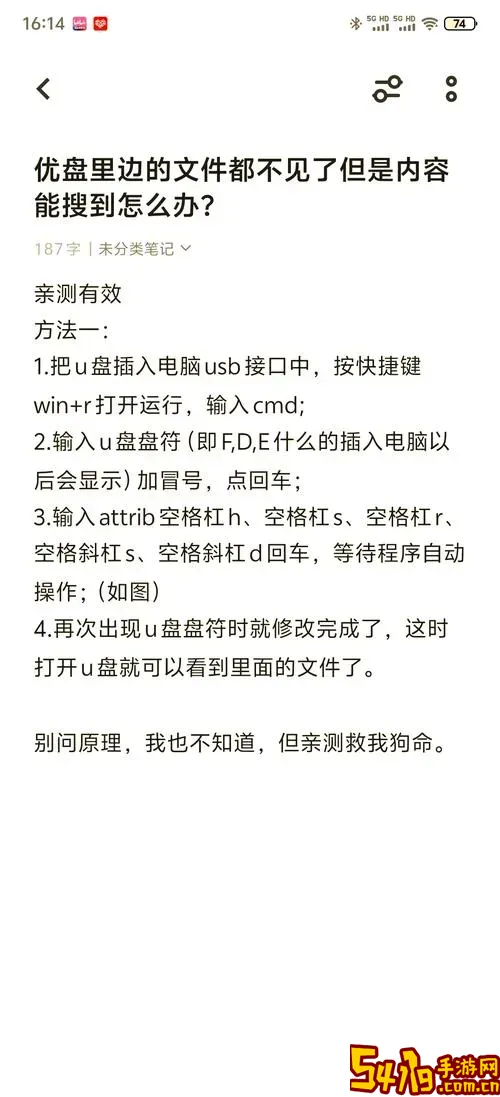 u盘中病毒被隐藏的文件怎么恢复图1
