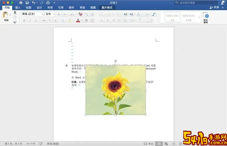 word图片怎么随意移动_word图片怎么随意移动位置图1