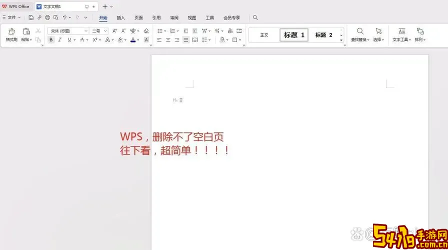 wps文章有一大段空白图1