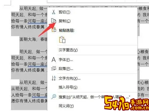 word文档怎么复制页面的整张内容图2