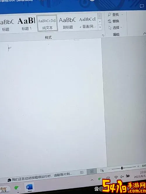 word文档有隐藏的空白页图1