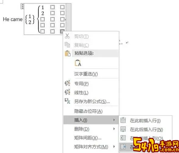 怎么在word的公式后面加上括号图2