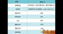 2024年试管婴儿最新收费价目表及医保覆盖情况详解