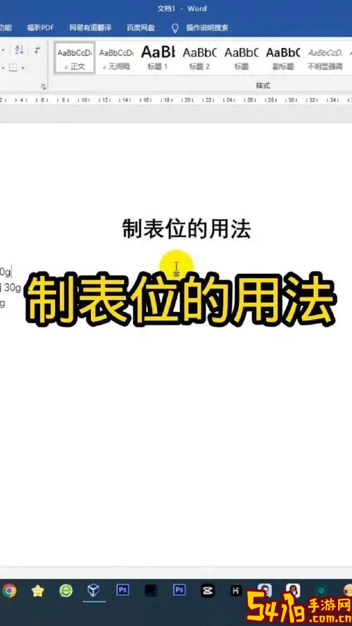 word中的制表位是用于图2