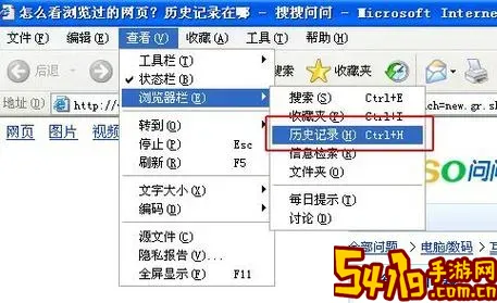 恢复网页浏览历史记录音乐_恢复浏览器历史记录网站图2