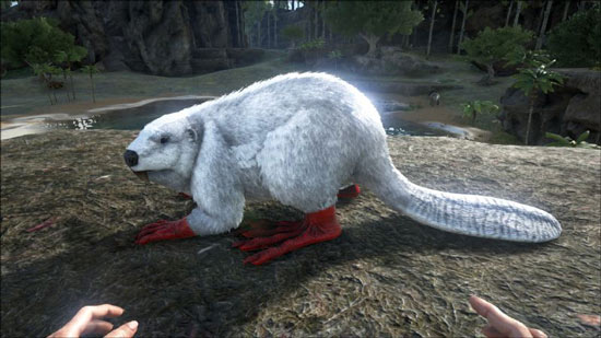 1.jpg